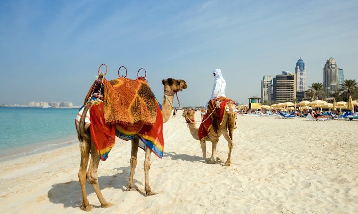 Dubai pour les digital nomads