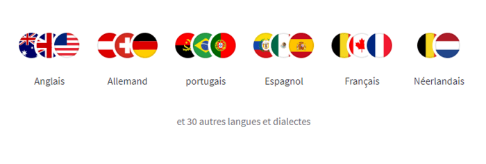 LanguageTool multilingue